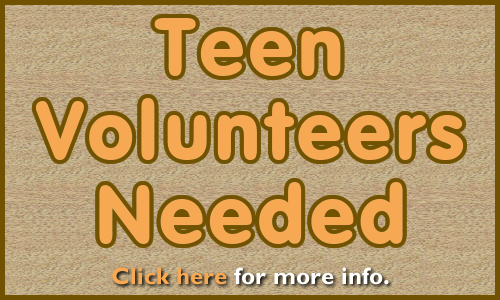 teen volunteers needed graphic