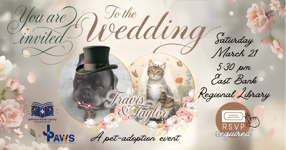 Taylor the Cat and Travis the Dog's Wedding